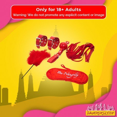 BDSM SEX KIT Bracelet+Whip+Goggles+Feather+Mouth Ball Gag BDSM-001