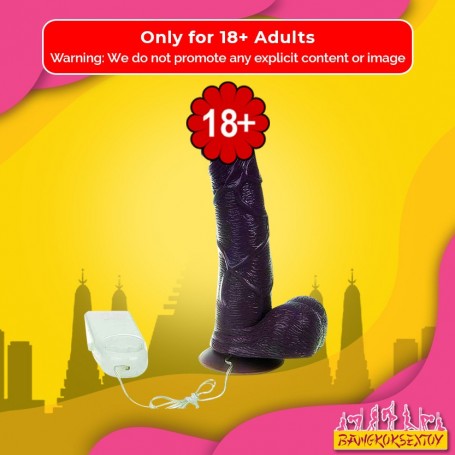Mr. Realistic Vibrator V1 RSV-026